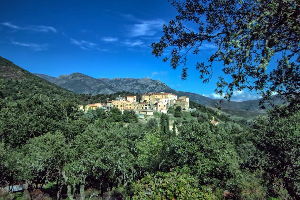 A Ghjuvellina Piedigriggio Exterior foto